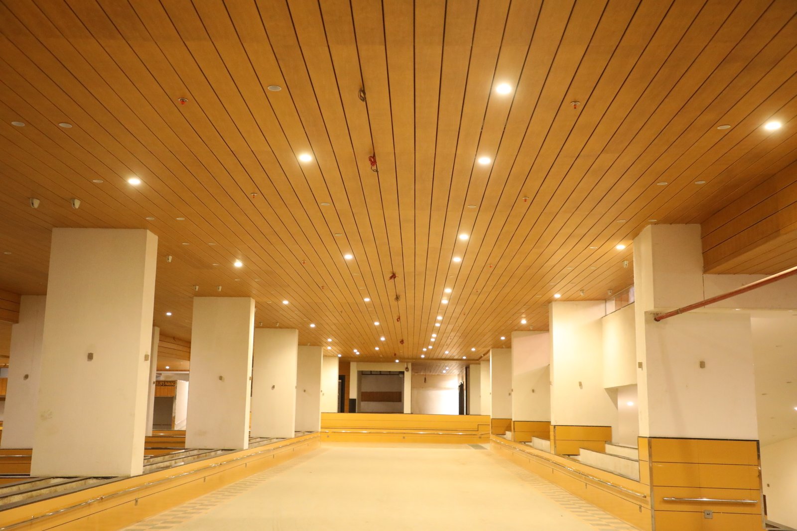 skills section